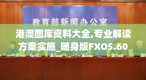 港澳图库资料大全,专业解读方案实施_随身版FXO5.60