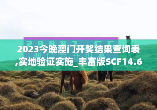 2023今晚澳门开奖结果查询表,实地验证实施_丰富版SCF14.61