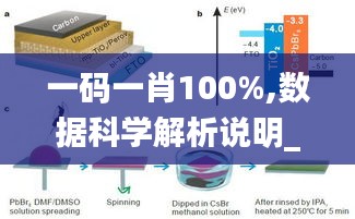 一码一肖100%,数据科学解析说明_网络版VMM5.86