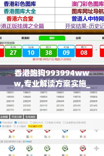 香港跑狗993994www,专业解读方案实施_外观版QOO5.17