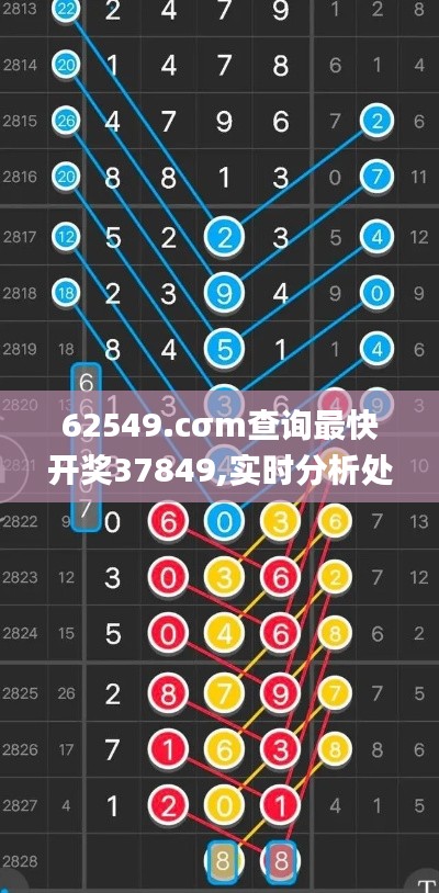 62549.cσm查询最快开奖37849,实时分析处理_经典版VYE14.9