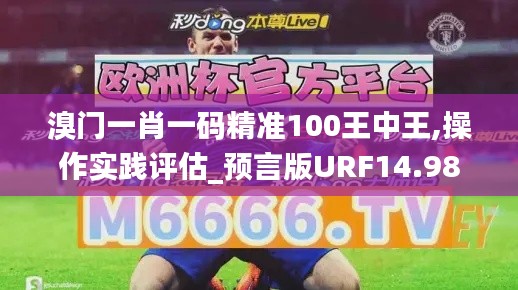 溴门一肖一码精准100王中王,操作实践评估_预言版URF14.98