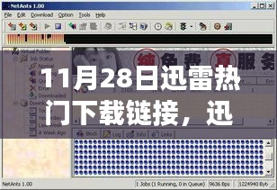 11月28日迅雷热门下载链接背后的争议与热议焦点