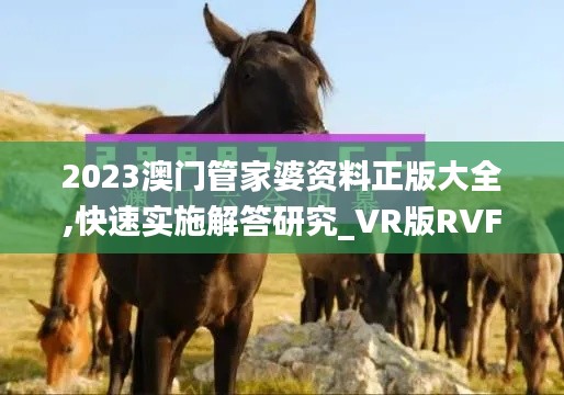 2023澳门管家婆资料正版大全,快速实施解答研究_VR版RVF13.88