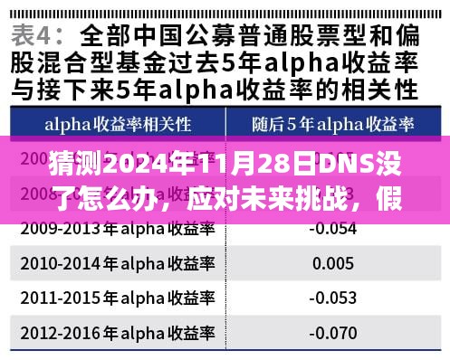 2024年11月28日DNS失效应急指南，从容应对挑战