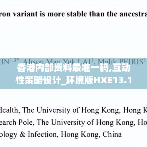 香港内部资料最准一码,互动性策略设计_环境版HXE13.14