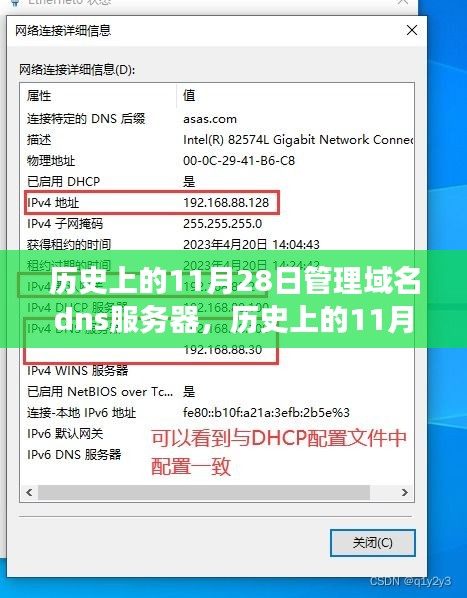 历史上的11月28日，域名DNS服务器管理的里程碑事件及其深远影响回顾