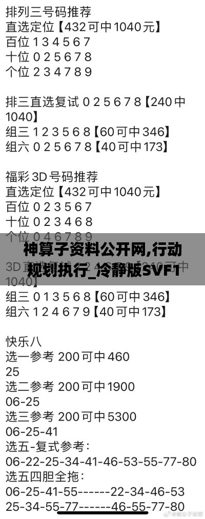 神算子资料公开网,行动规划执行_冷静版SVF13.86