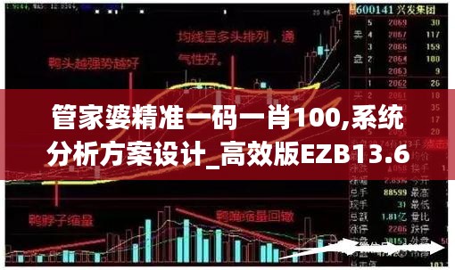 管家婆精准一码一肖100,系统分析方案设计_高效版EZB13.67