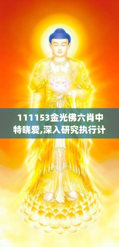 111153金光佛六肖中特晓爱,深入研究执行计划_共享版OSK13.76