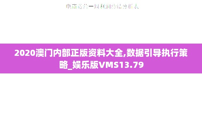 2020澳门内部正版资料大全,数据引导执行策略_娱乐版VMS13.79