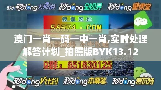 澳门一肖一码一中一肖,实时处理解答计划_拍照版BYK13.12