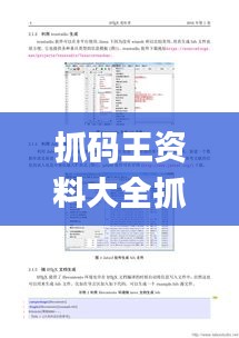 抓码王资料大全抓码王,综合计划评估_任务版EMG13.9