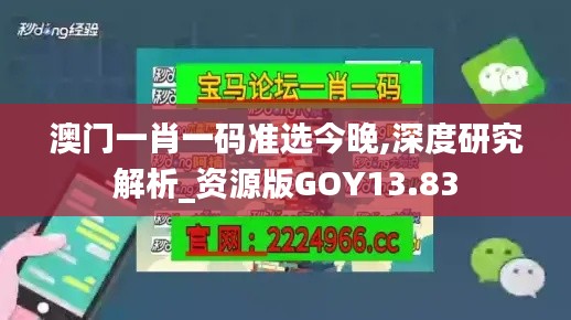 澳门一肖一码准选今晚,深度研究解析_资源版GOY13.83