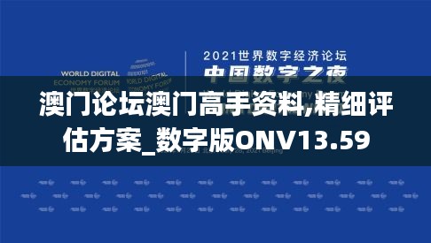 澳门论坛澳门高手资料,精细评估方案_数字版ONV13.59