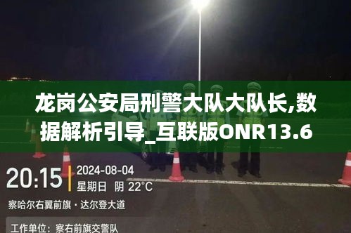 龙岗公安局刑警大队大队长,数据解析引导_互联版ONR13.60