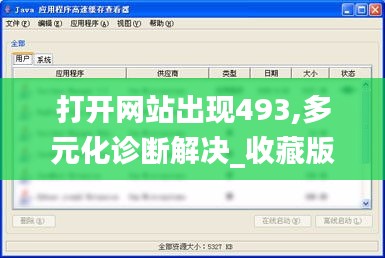 打开网站出现493,多元化诊断解决_收藏版UVO13.12