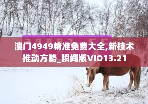 澳门4949精准免费大全,新技术推动方略_瞬间版VIO13.21