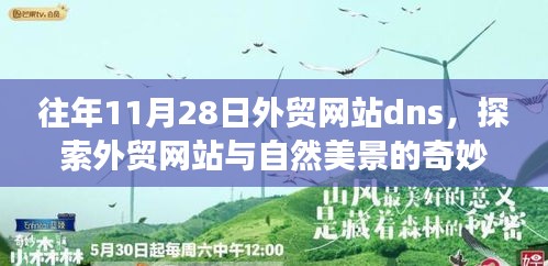 外贸网站与自然美景的奇妙探索之旅，心灵的洗礼与发现