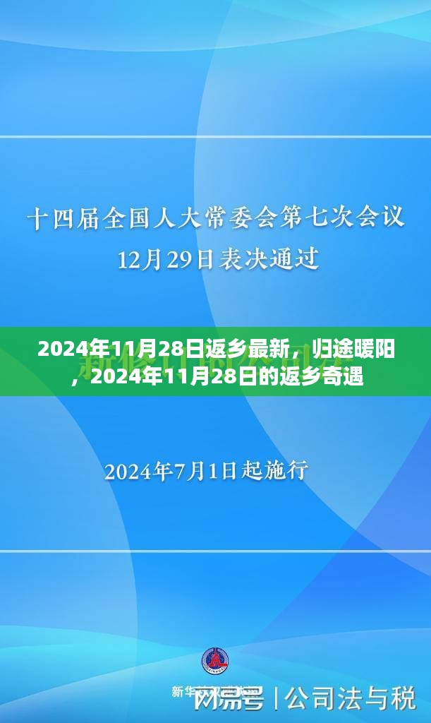 归途暖阳，返乡奇遇的温馨故事 2024年返乡最新动态