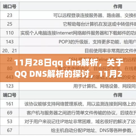 11月28日QQ DNS解析最新动态，探讨其影响与发展