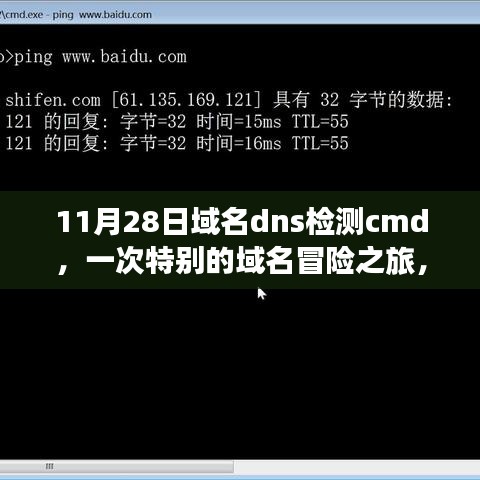 我与朋友的技术冒险，域名dns检测cmd的特别之旅