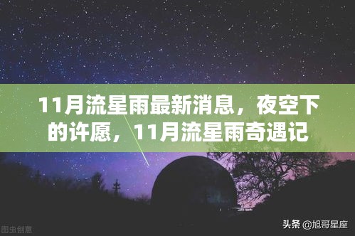 11月流星雨，夜空下的奇遇与许愿的浪漫记忆