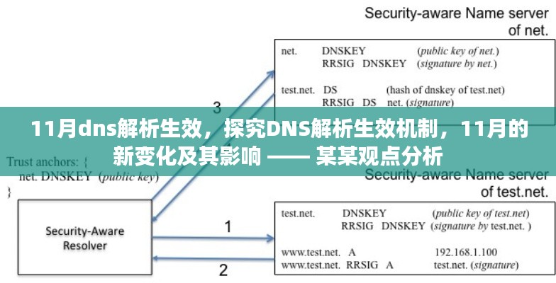 探究DNS解析生效机制，11月新变化及其影响分析 —— 某某观点解析