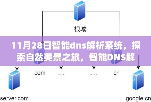 智能DNS解析系统，探索自然美景之旅，追寻内心宁静的旅程