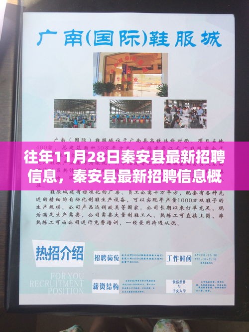 秦安县最新招聘热点解析，历年11月28日招聘信息概览