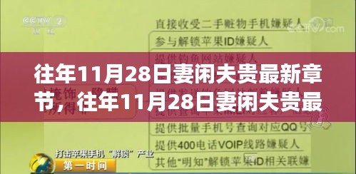 深度解读，妻闲夫贵背后的故事与情感 —— 历年11月28日最新章节