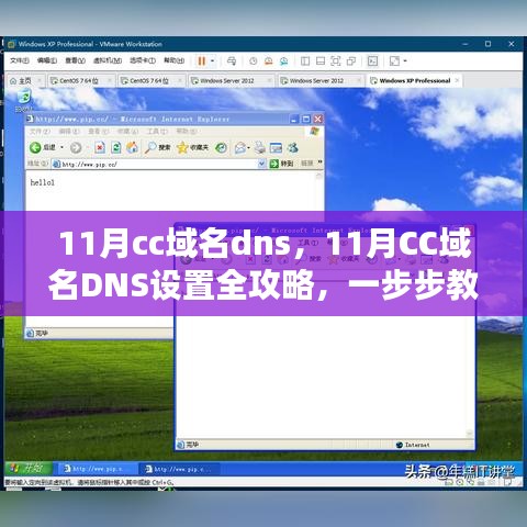 11月CC域名DNS设置指南，一步步教你轻松完成DNS配置