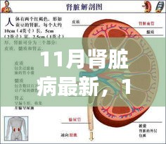 2024年11月29日 第4页