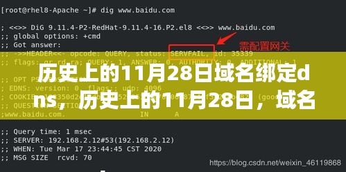 历史上的11月28日，域名绑定DNS背后的故事，开启自信成就之旅的起点
