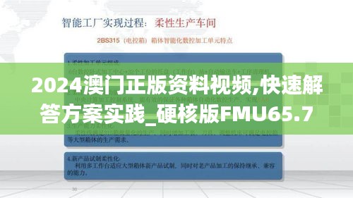 2024澳门正版资料视频,快速解答方案实践_硬核版FMU65.748