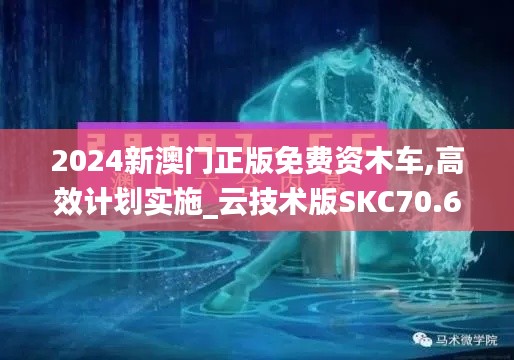 2024新澳门正版免费资木车,高效计划实施_云技术版SKC70.690