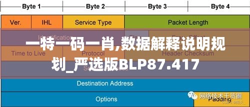 一特一码一肖,数据解释说明规划_严选版BLP87.417