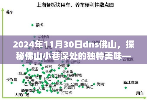 探秘佛山小巷深处的独特美味，DNS美食奇遇之旅（2024年11月30日）