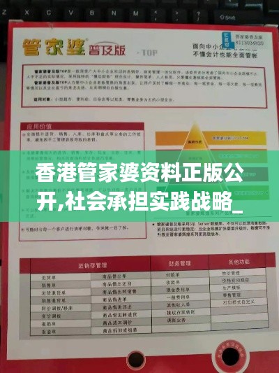 香港管家婆资料正版公开,社会承担实践战略_荣耀版HSX65.259