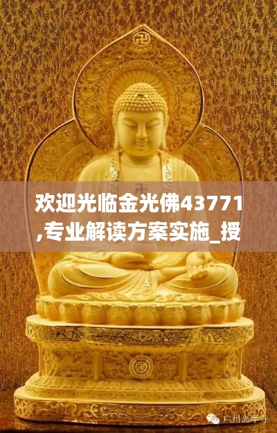 欢迎光临金光佛43771,专业解读方案实施_授权版CRN34.725