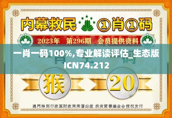 一肖一码100%,专业解读评估_生态版ICN74.212