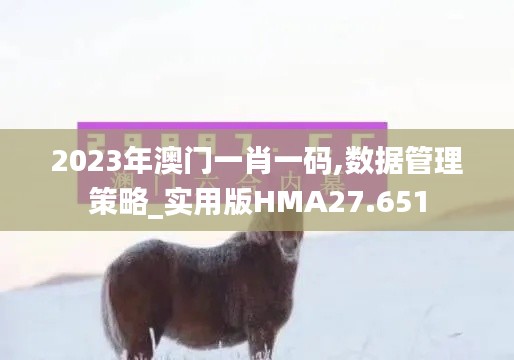 2023年澳门一肖一码,数据管理策略_实用版HMA27.651