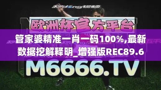 管家婆精准一肖一码100%,最新数据挖解释明_增强版REC89.602