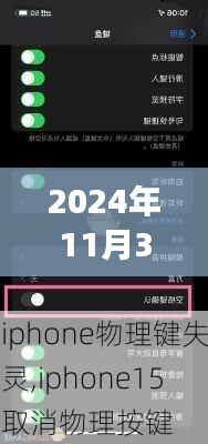 苹果手机DNS变革之旅，跃动未来的技术浪潮（2024年11月30日）