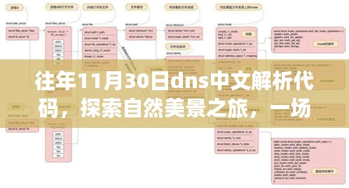 往年11月30日DNS中文解析之旅，与自然美景的奇妙缘分探索