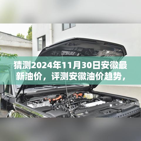 2024年11月 第11页