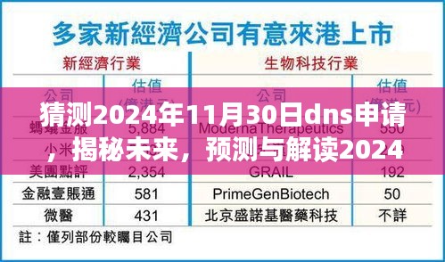 揭秘未来DNS申请趋势，预测与解读2024年DNS申请展望