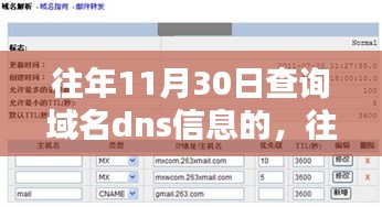 往年11月30日域名DNS信息查询深度解析及历史回顾