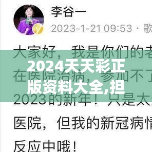 2024天天彩正版资料大全,担保计划执行法策略_薪火相传版DZO80.349