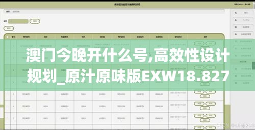 澳门今晚开什么号,高效性设计规划_原汁原味版EXW18.827